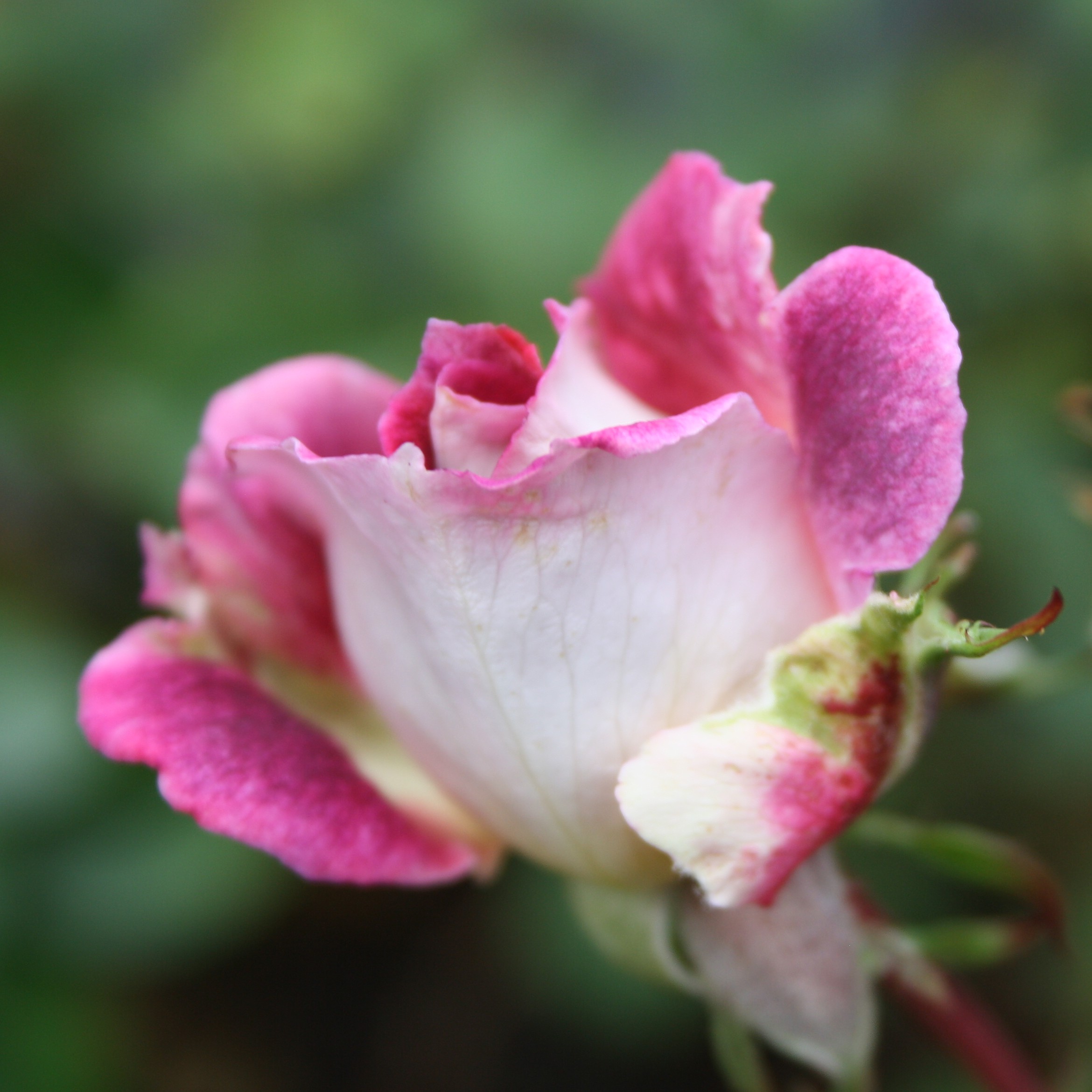 Kathryn – Bild 13