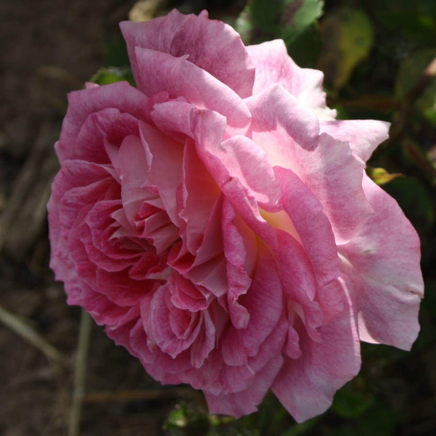 Kathryn – Bild 17