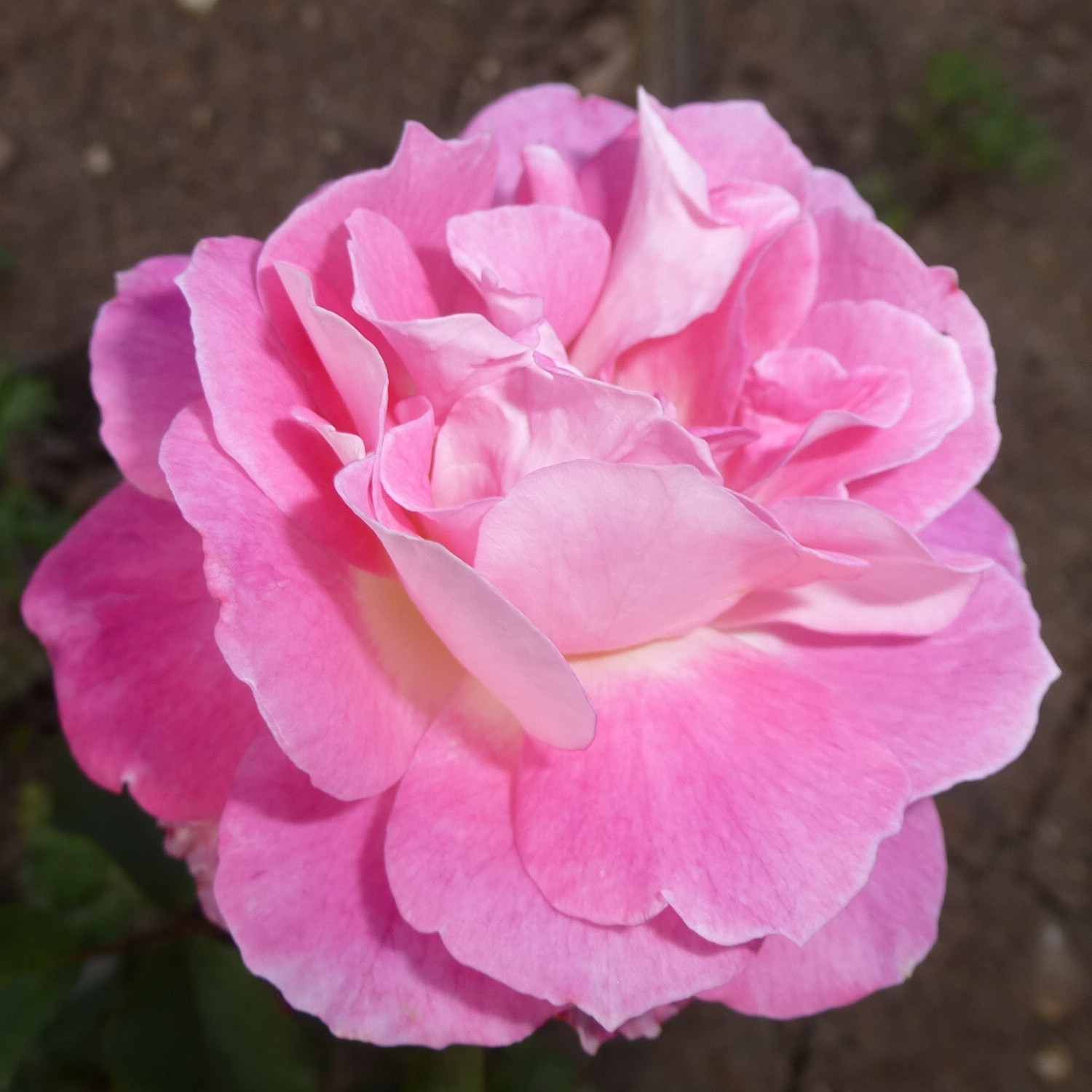 Kathryn – Bild 21