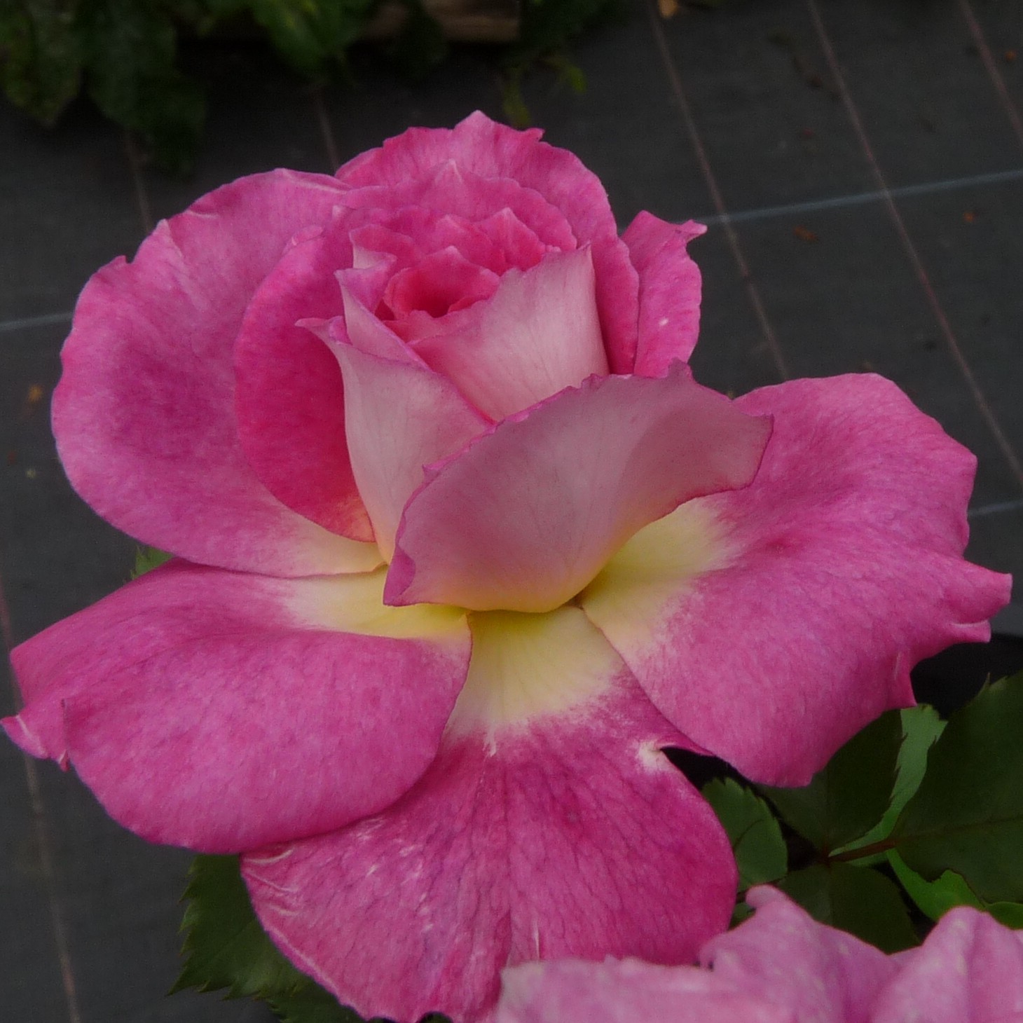 Kathryn – Bild 10