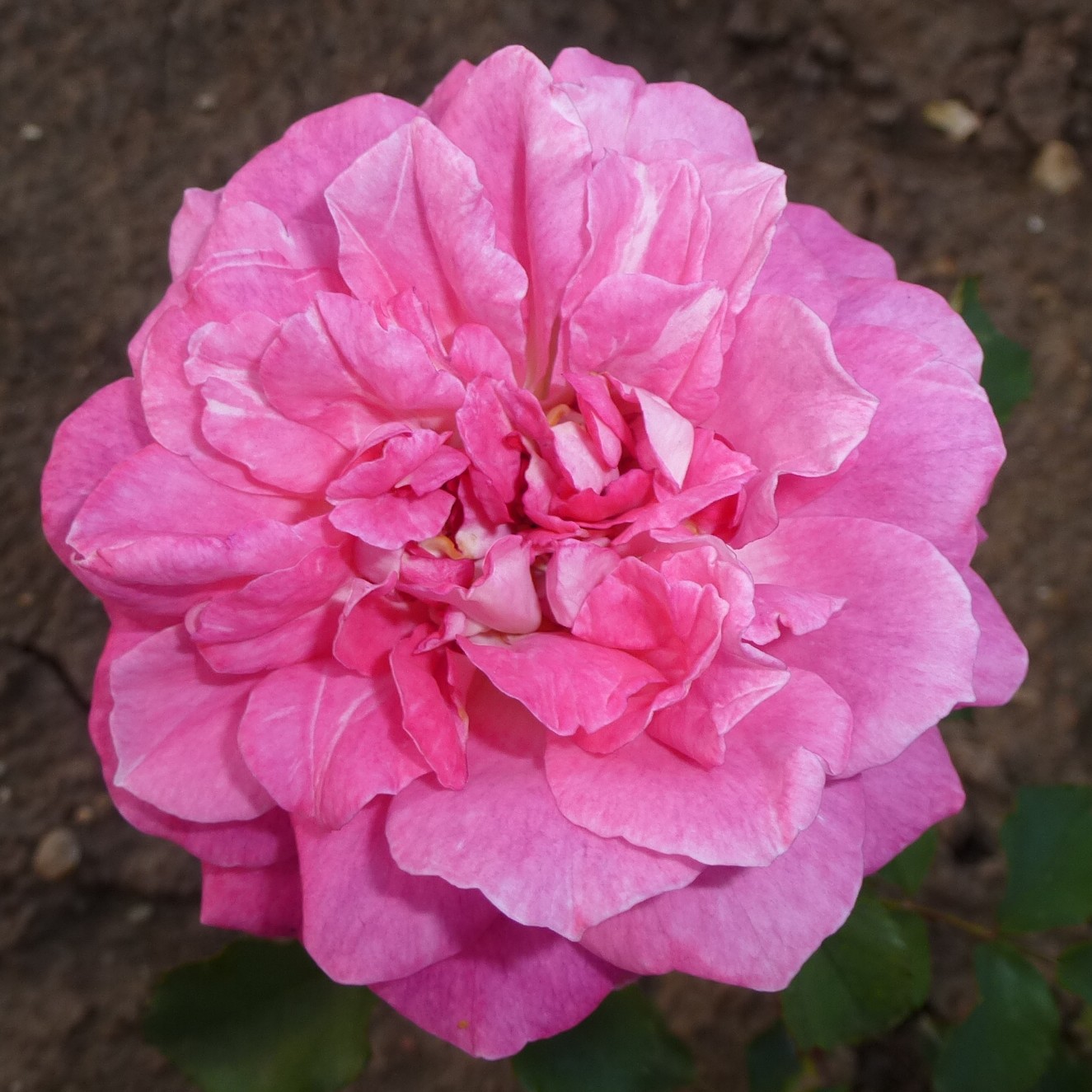 Kathryn – Bild 29