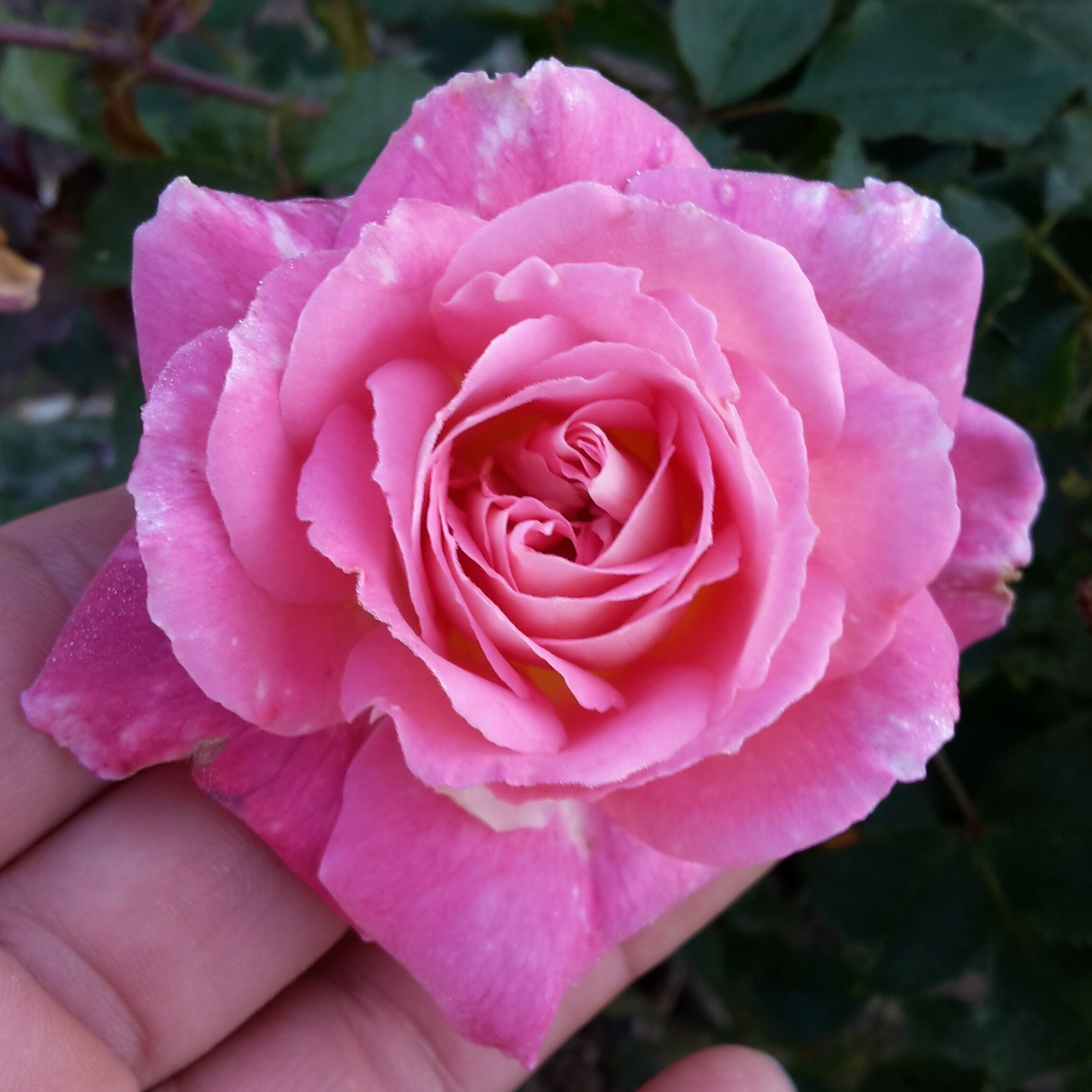 Kathryn – Bild 11