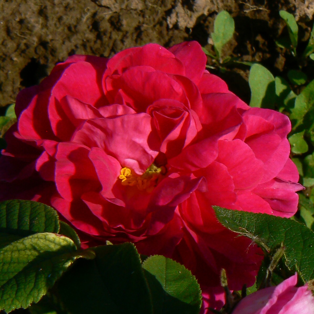 Neustadl – Bild 10