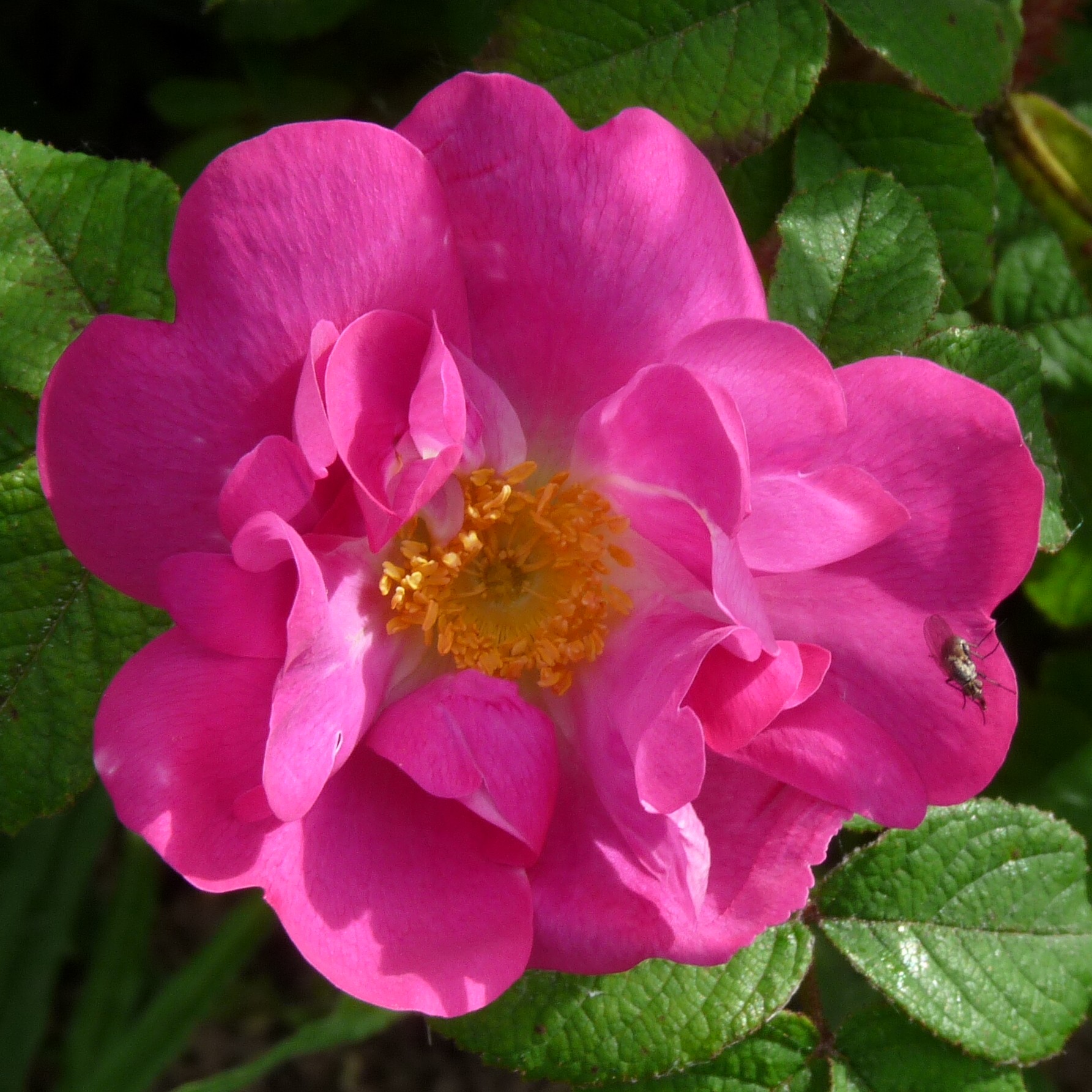 Stine – Bild 13