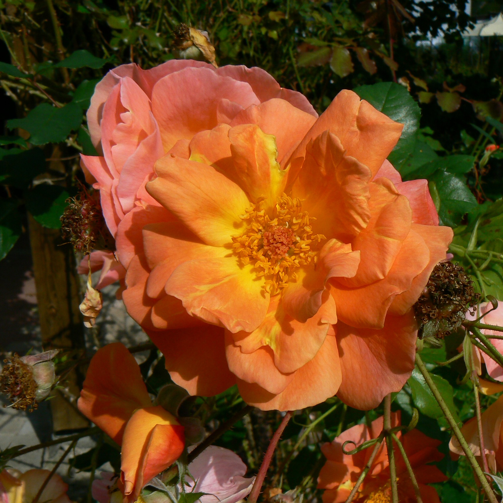 Westerland – Bild 12