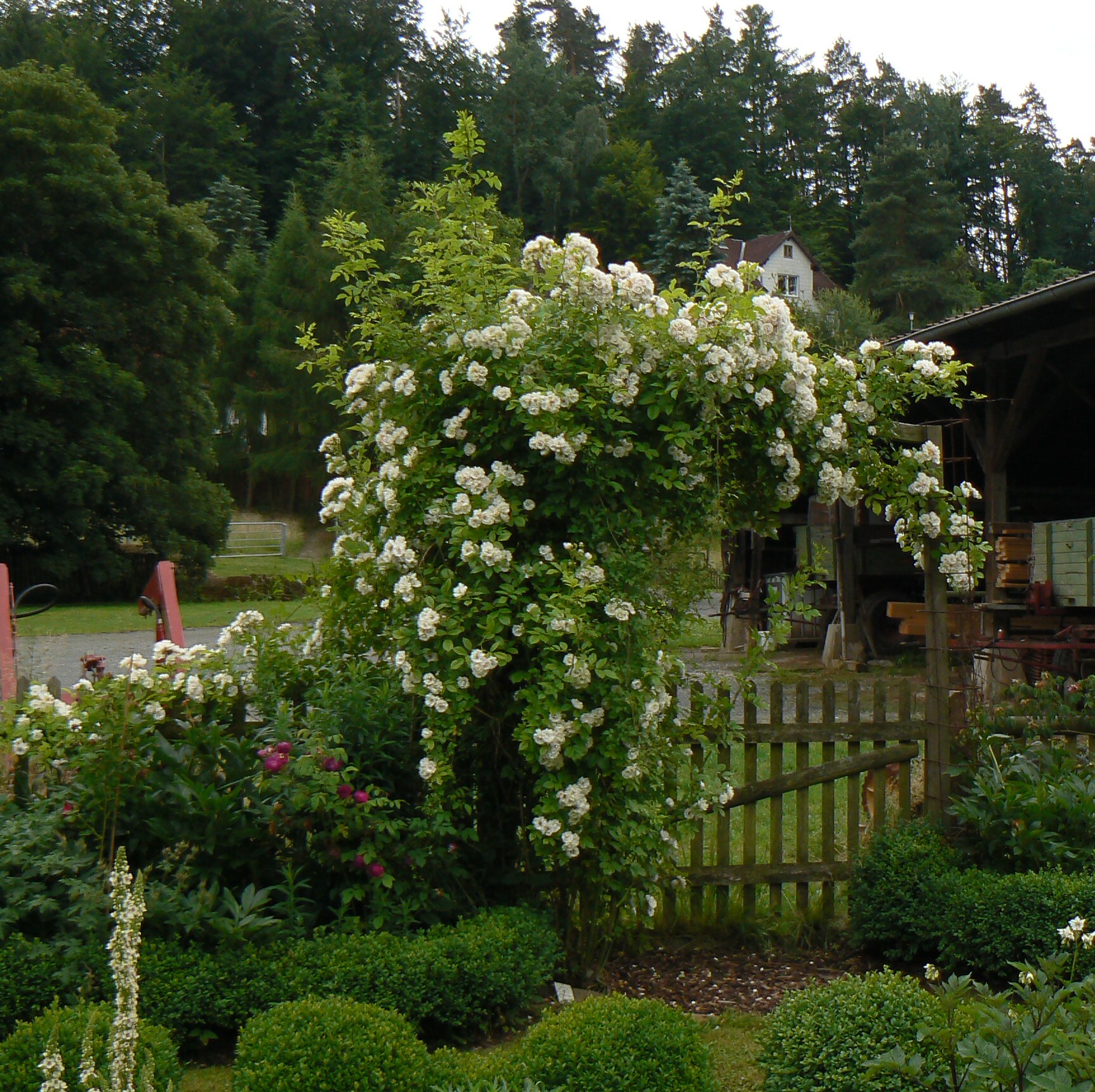 White Flight – Bild 5