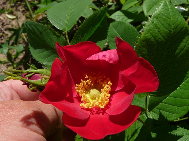 Amour – Bild 2