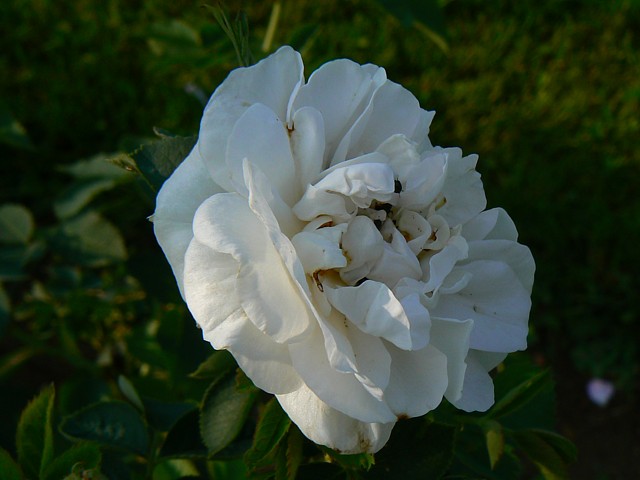 Martina – Bild 2