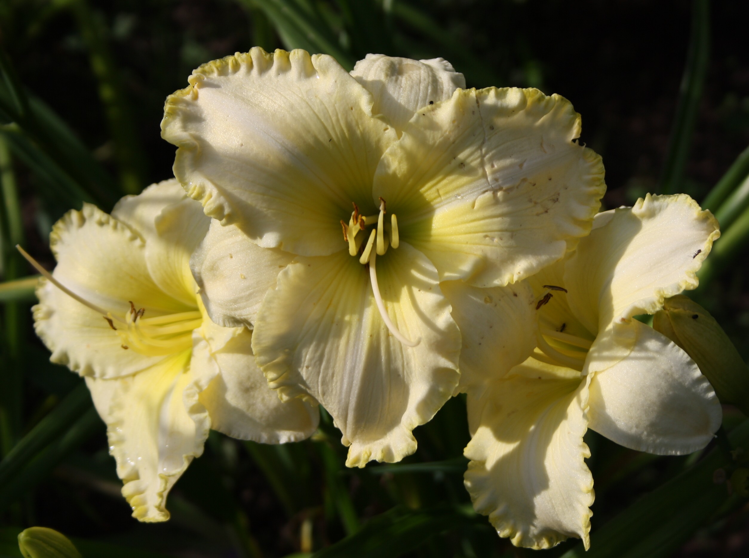 Vollmondlicht – Bild 8