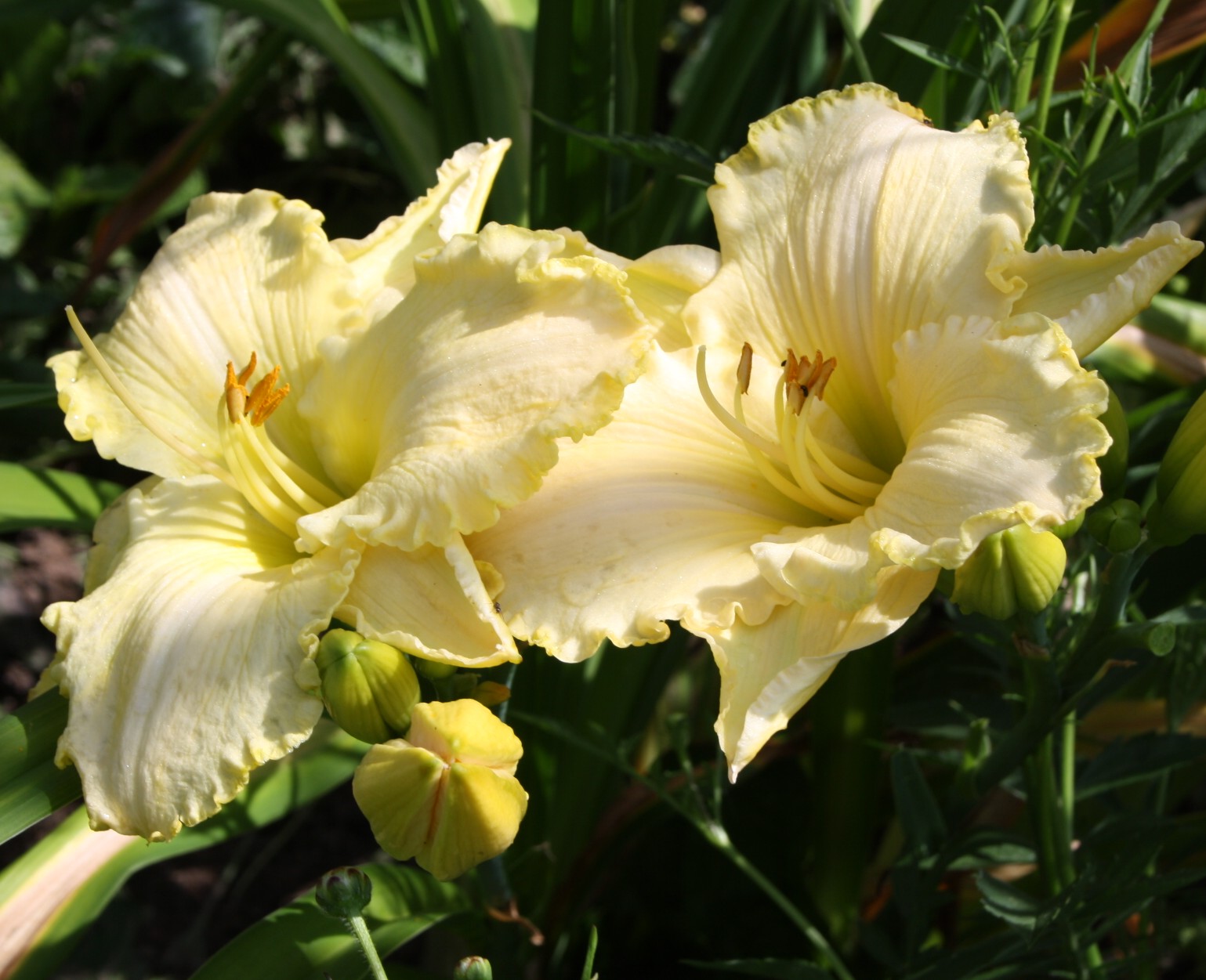 Vollmondlicht – Bild 7
