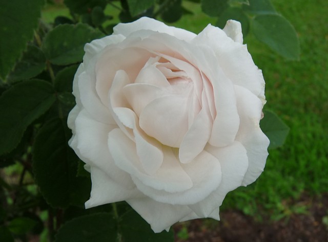 Botzaris – Bild 3