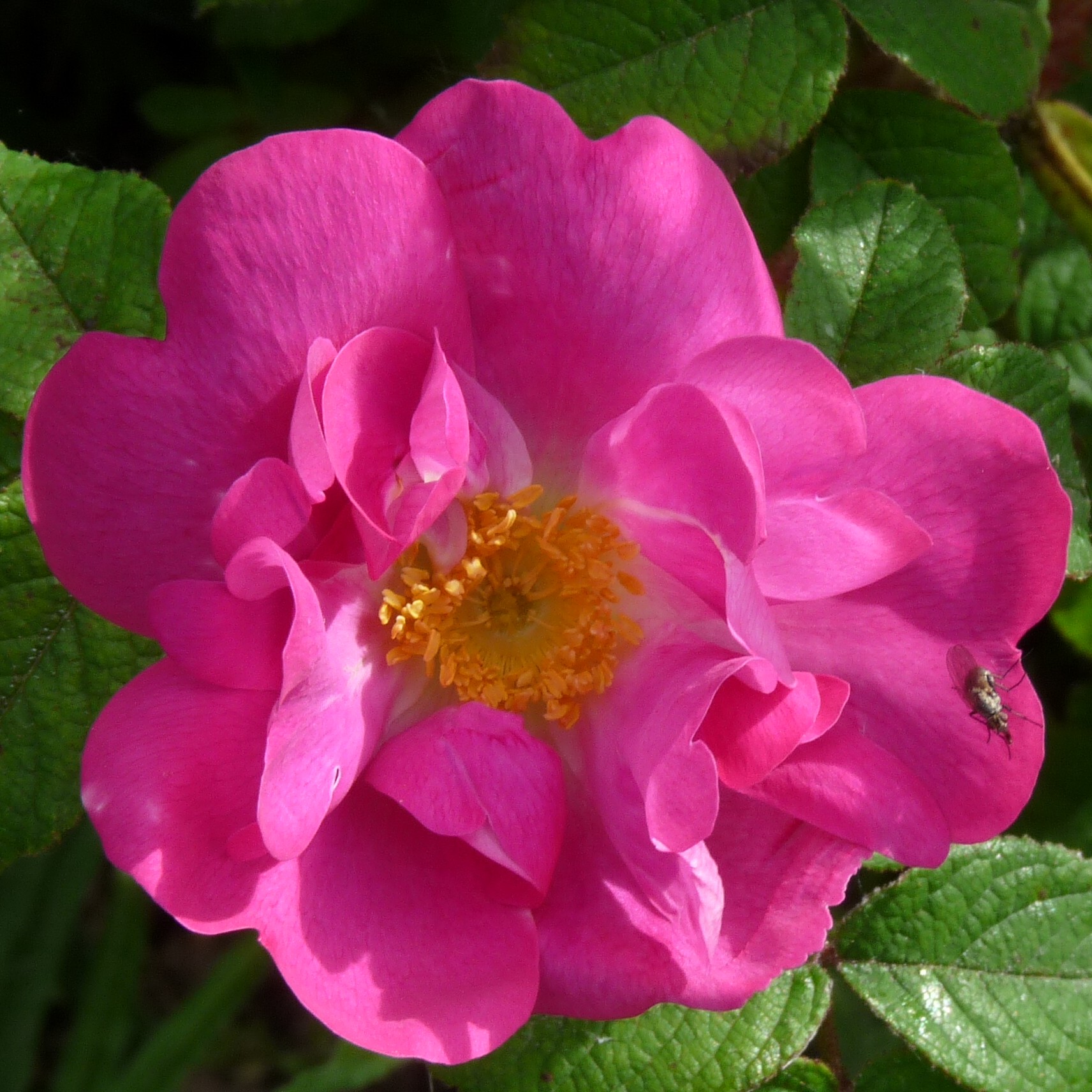 Stine – Bild 6