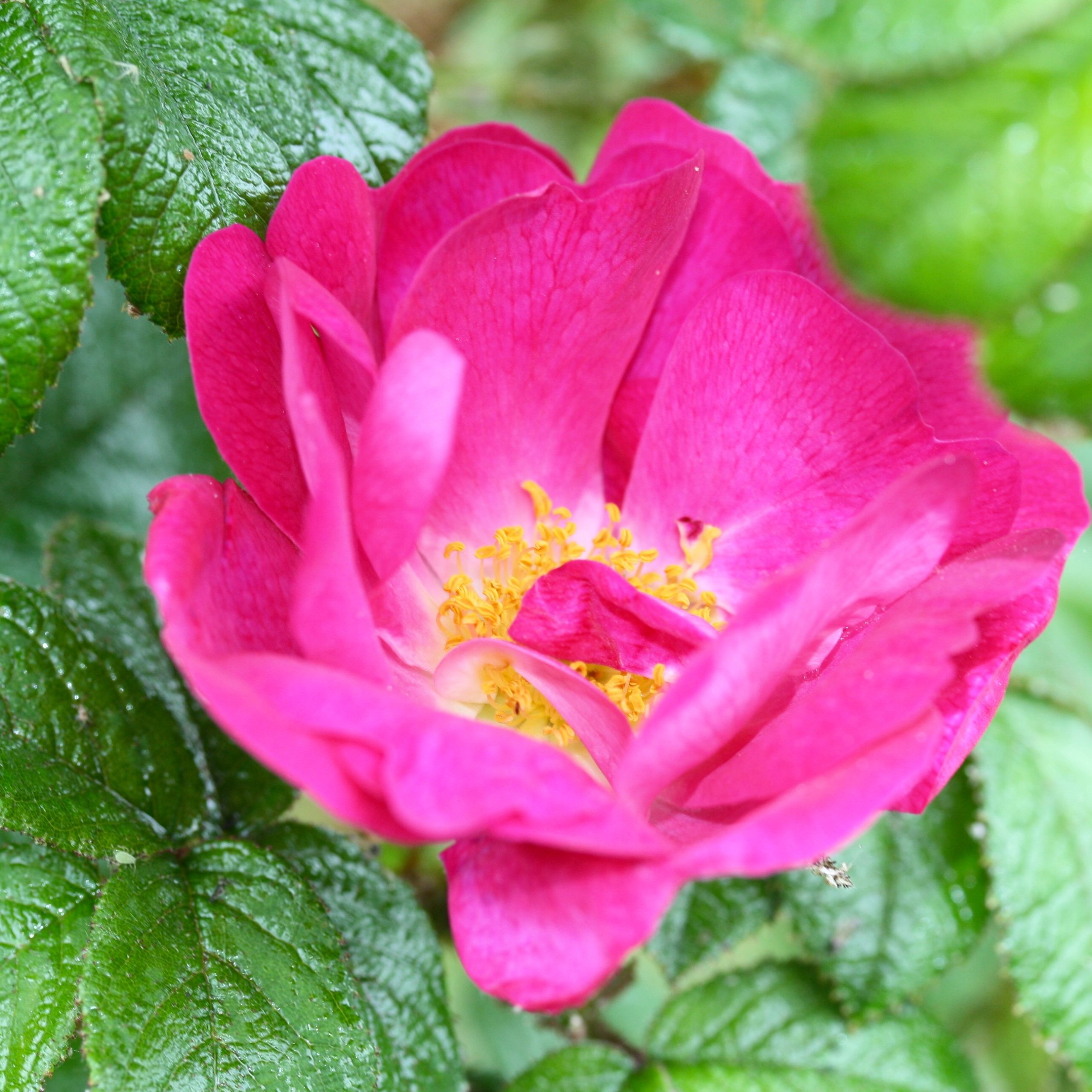 Stine – Bild 2