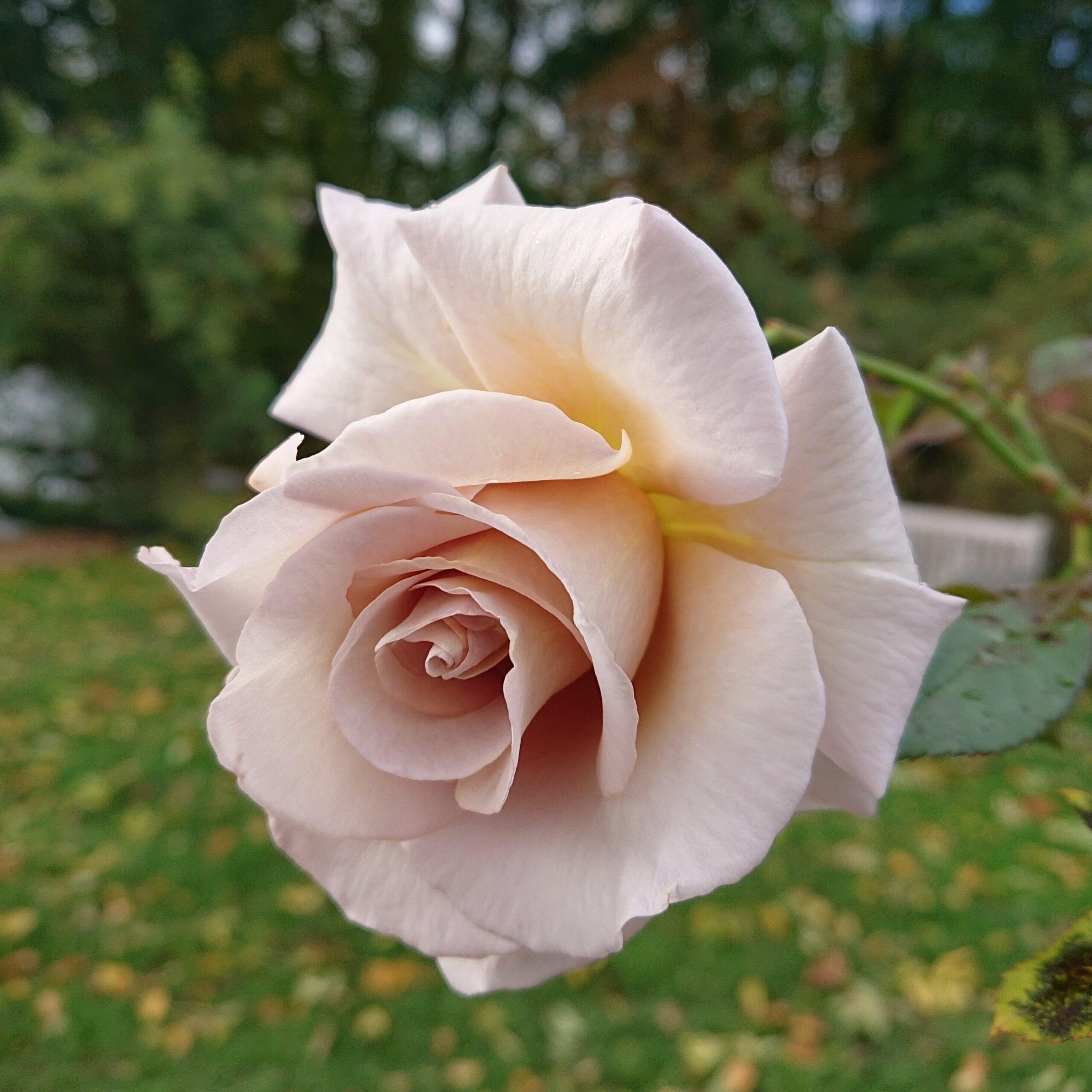 Stephen Rulo – Bild 7