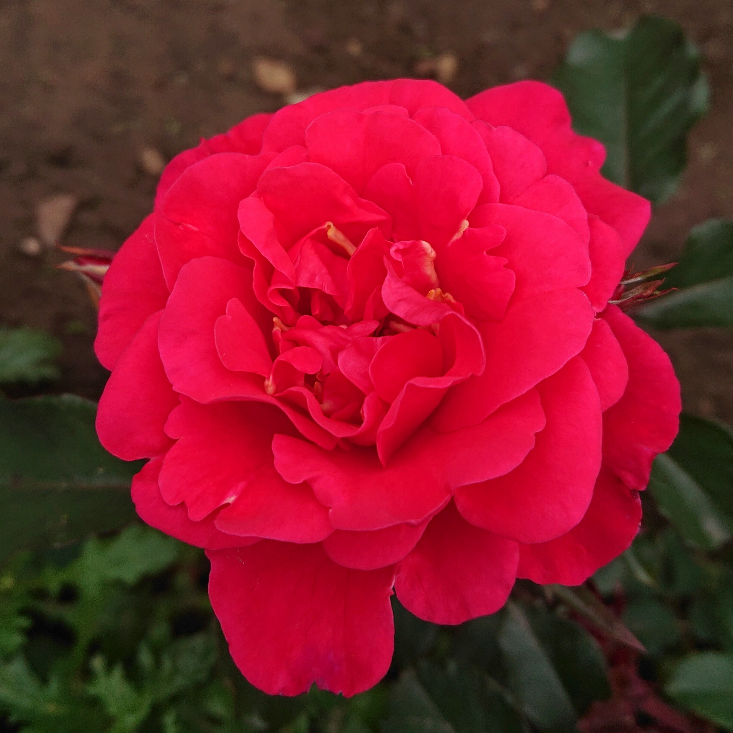 Benita – Bild 2