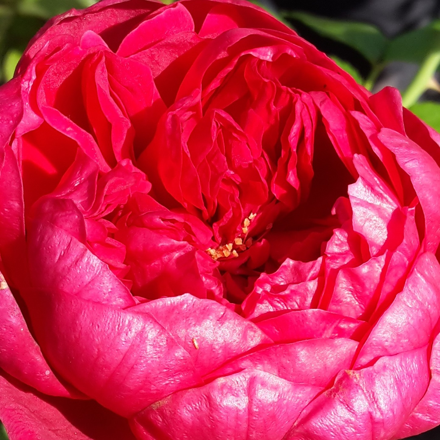 Soul – Bild 3