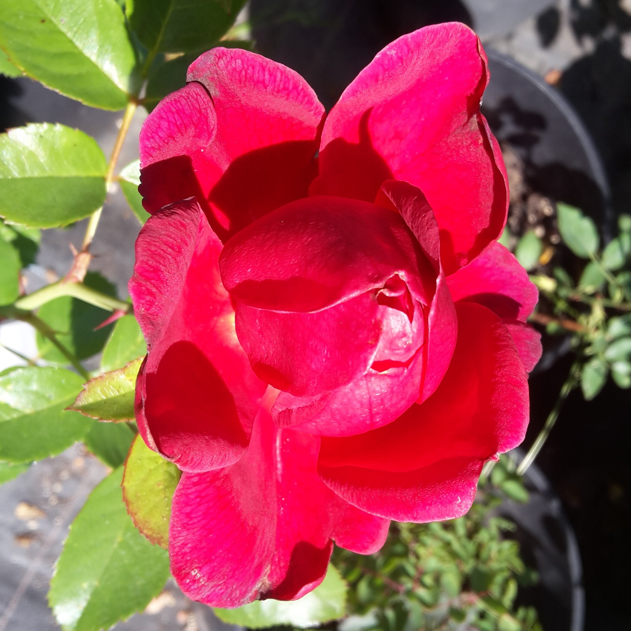 Soul – Bild 2