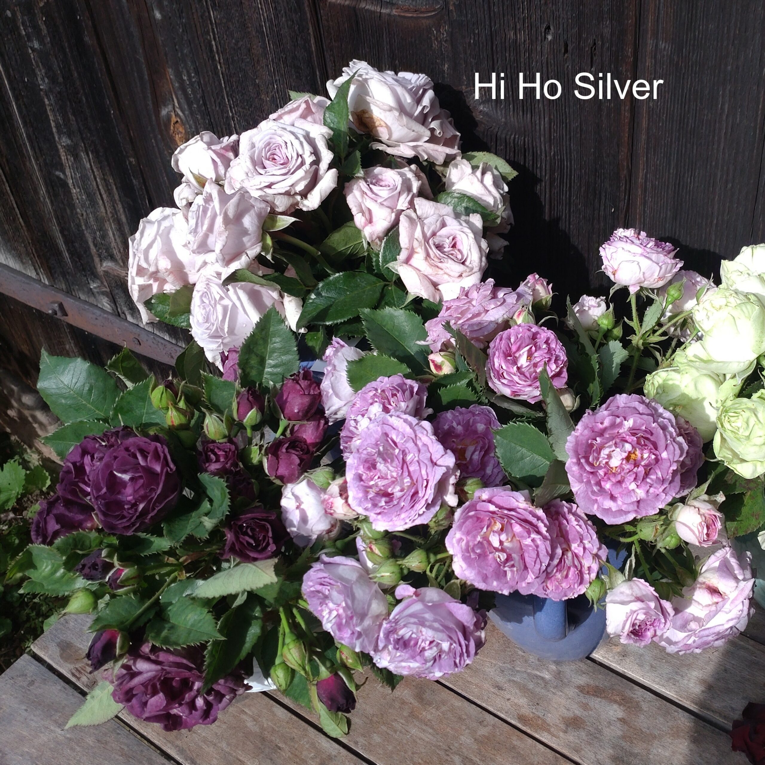 Hi Ho Silver – Bild 12