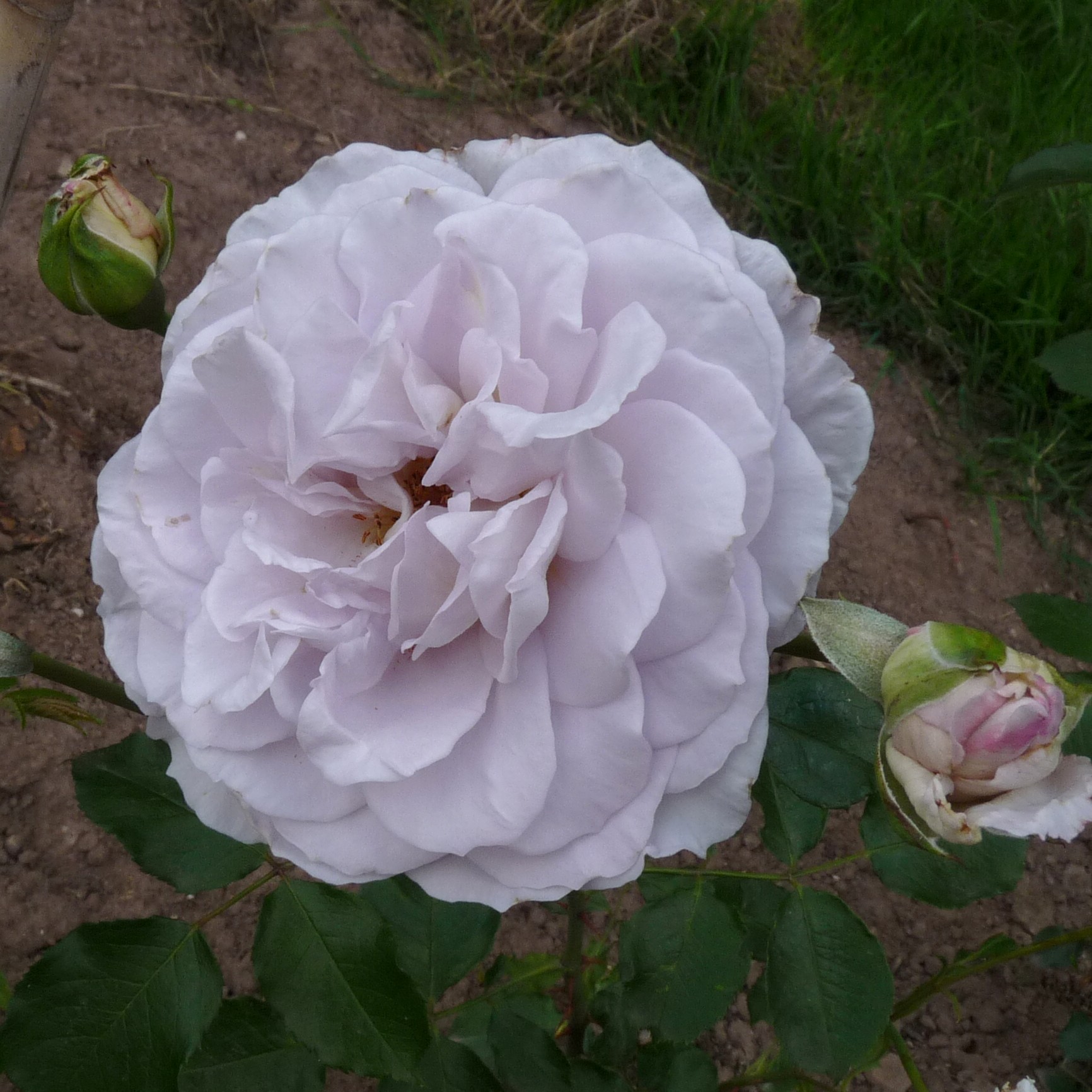 Out of the Blue – Bild 7