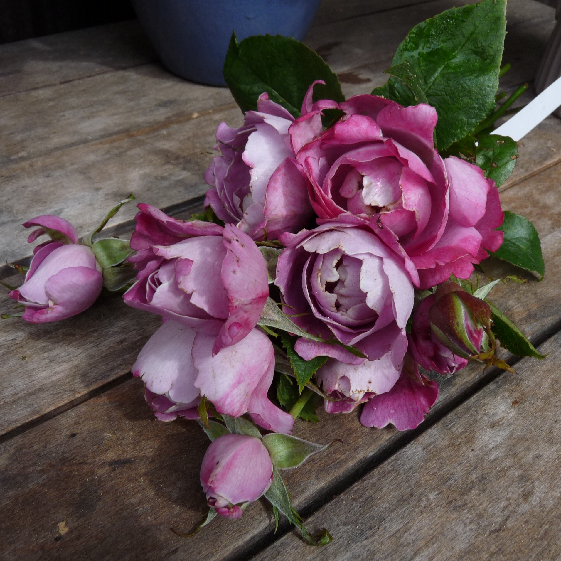Boule de Parfum – Bild 4