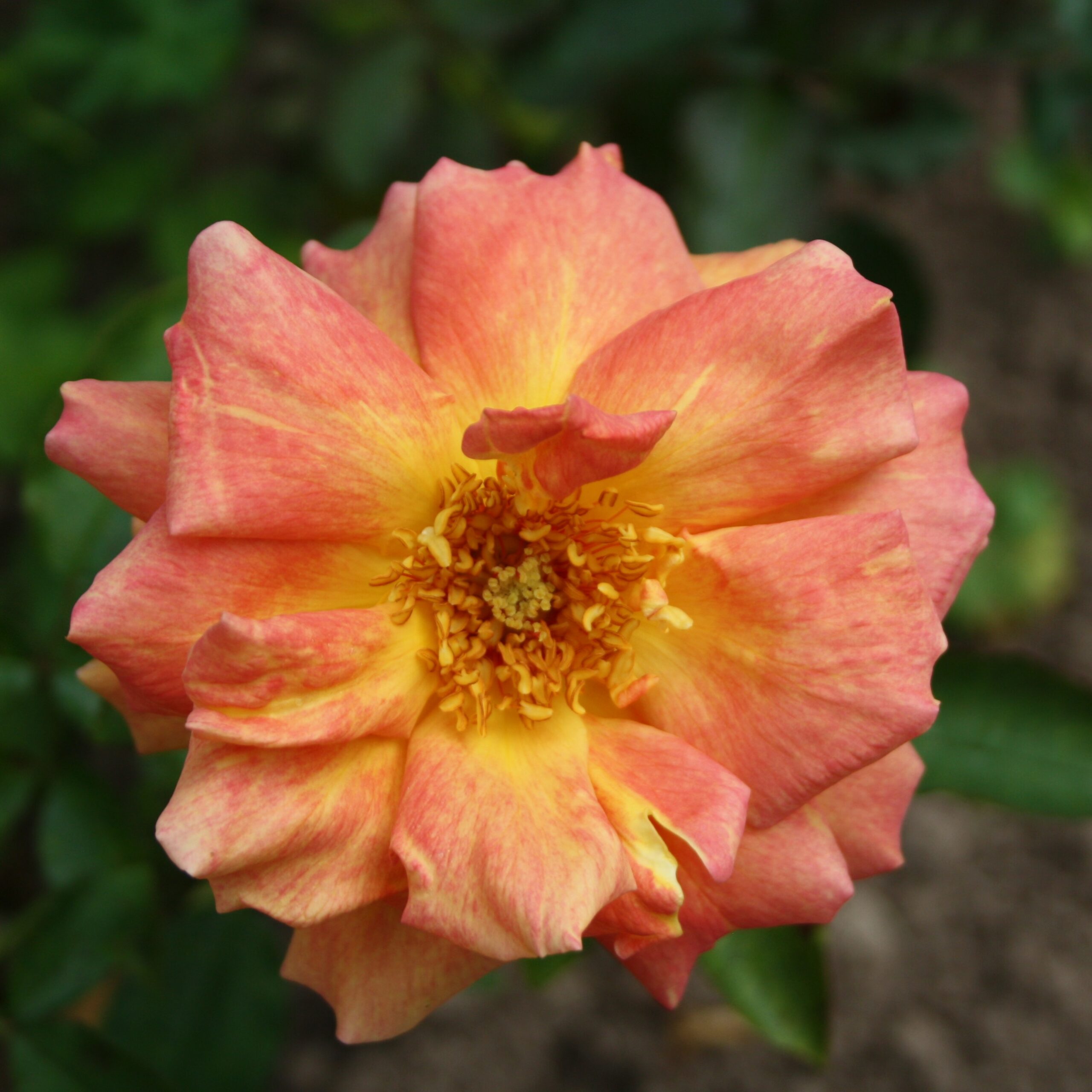 Doreen – Bild 4