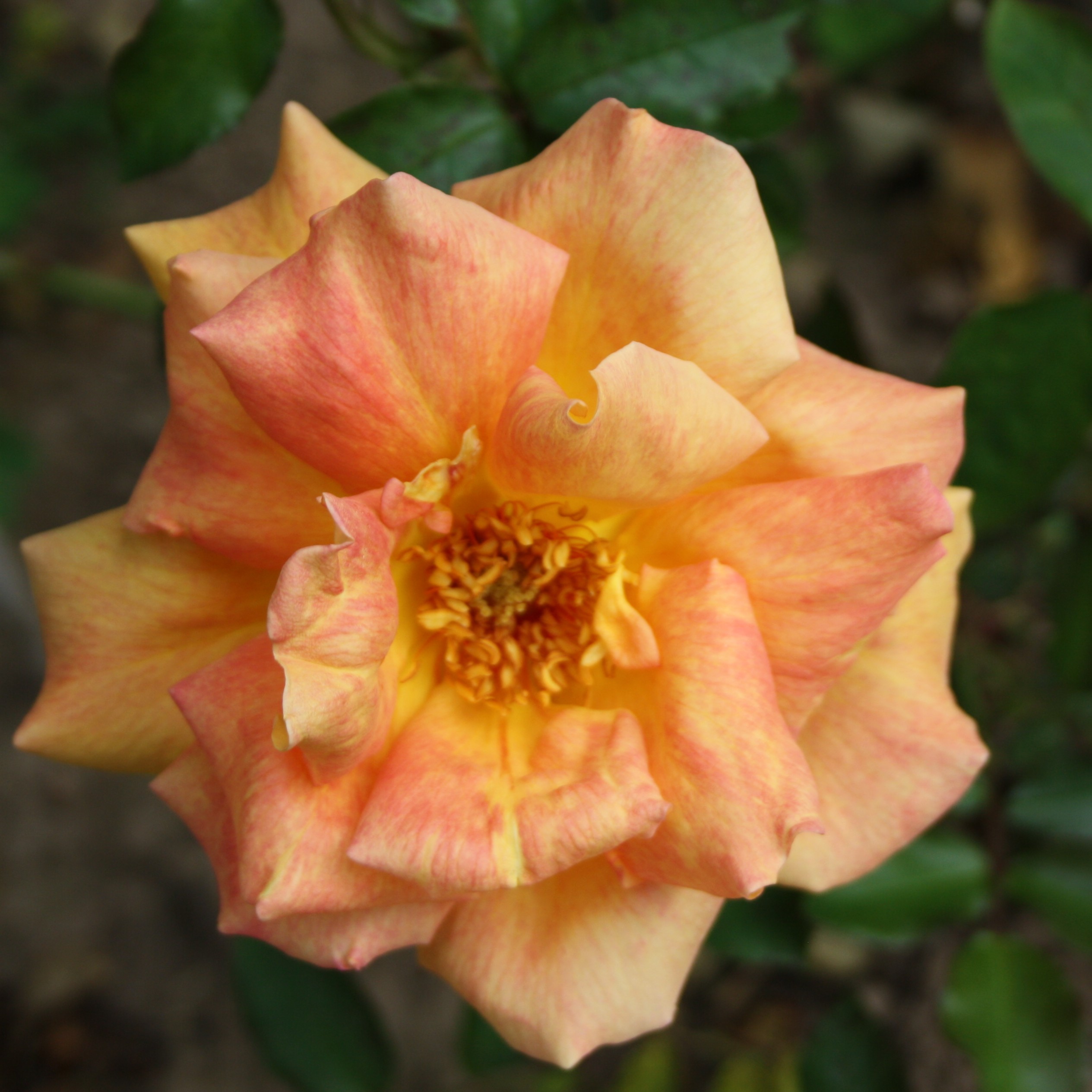 Doreen – Bild 5