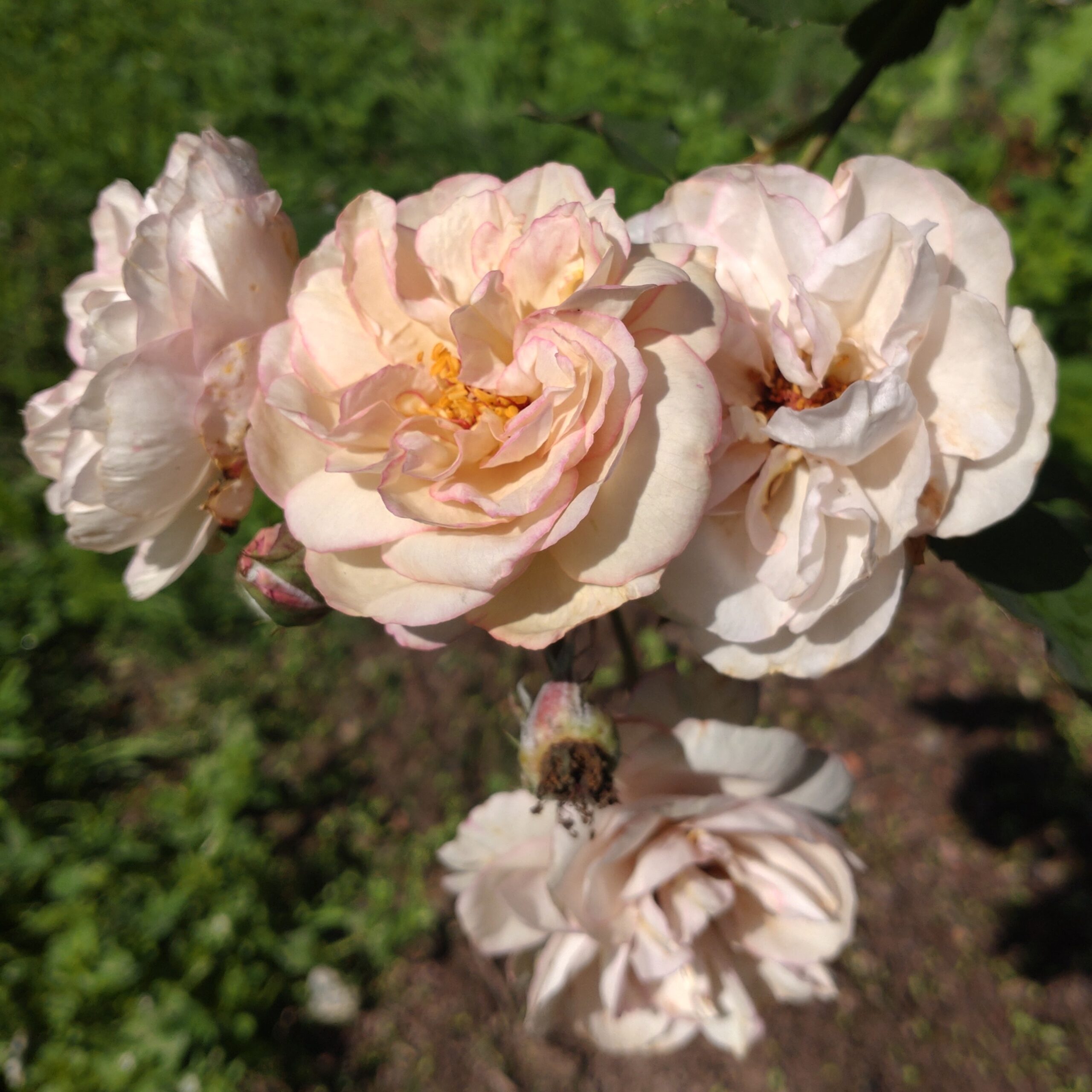 Sound of Silence – Bild 12