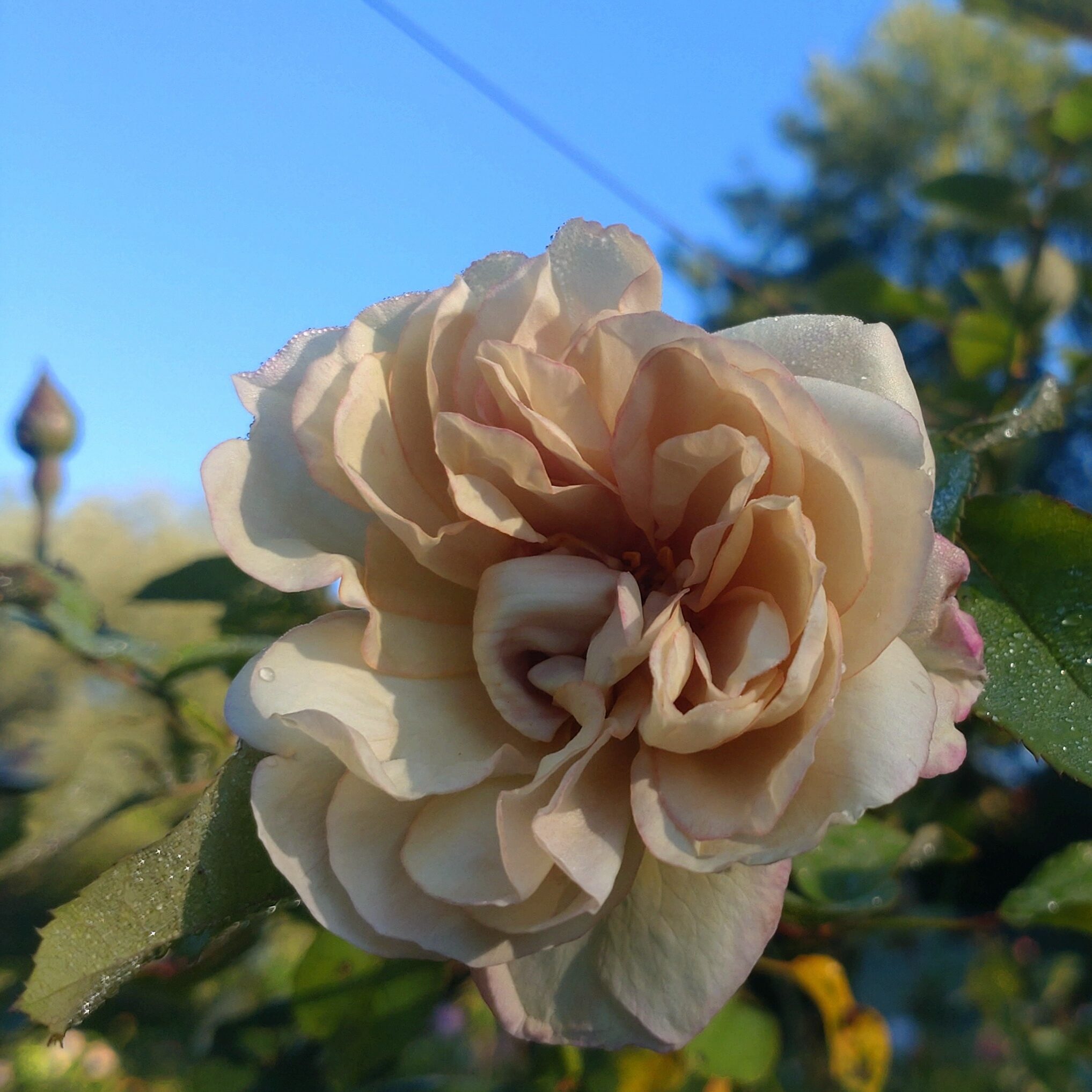 Sound of Silence – Bild 2