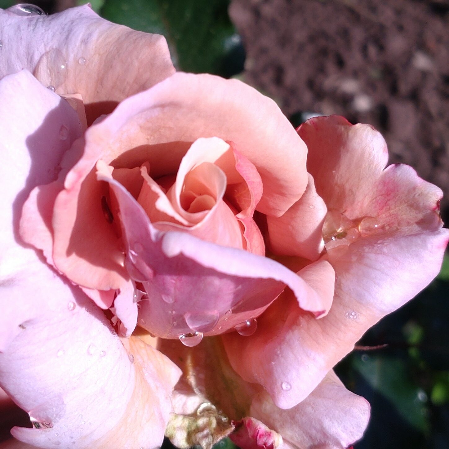 Something Different – Bild 2