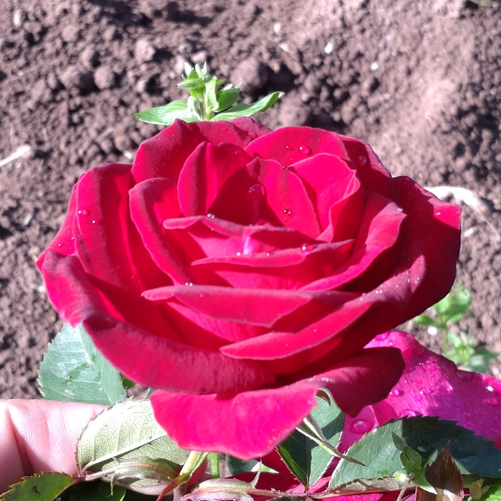 SCHAmei6 – Bild 2