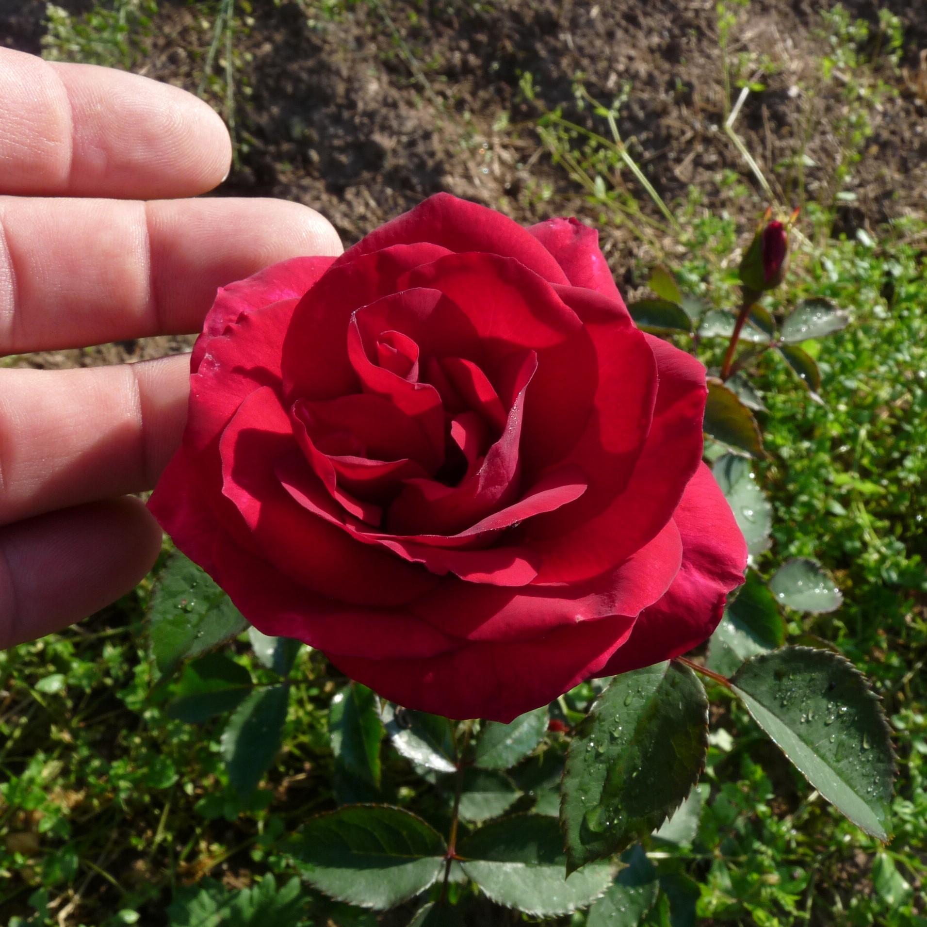 SCHAmei6 – Bild 3