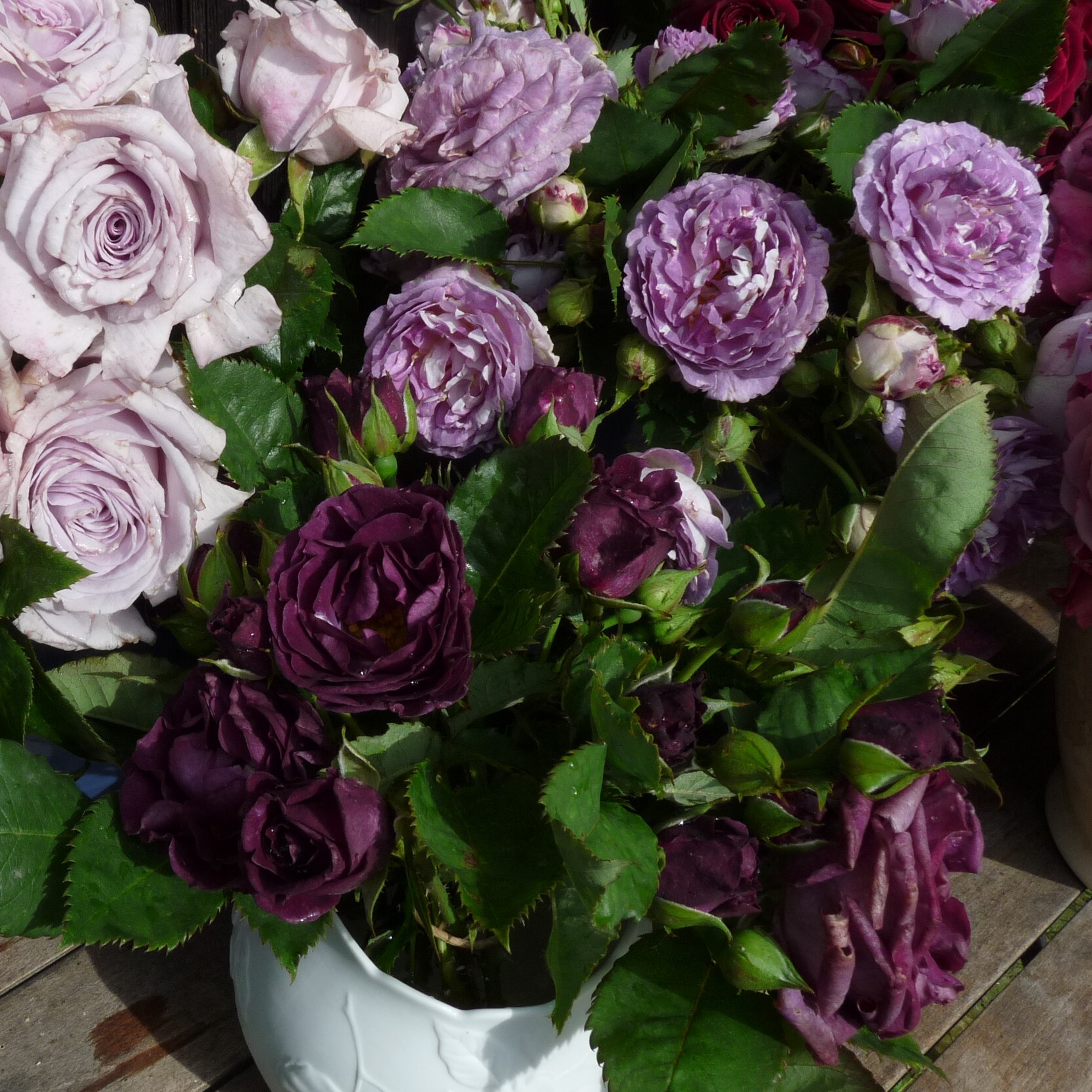 Colour and Scent – Bild 13