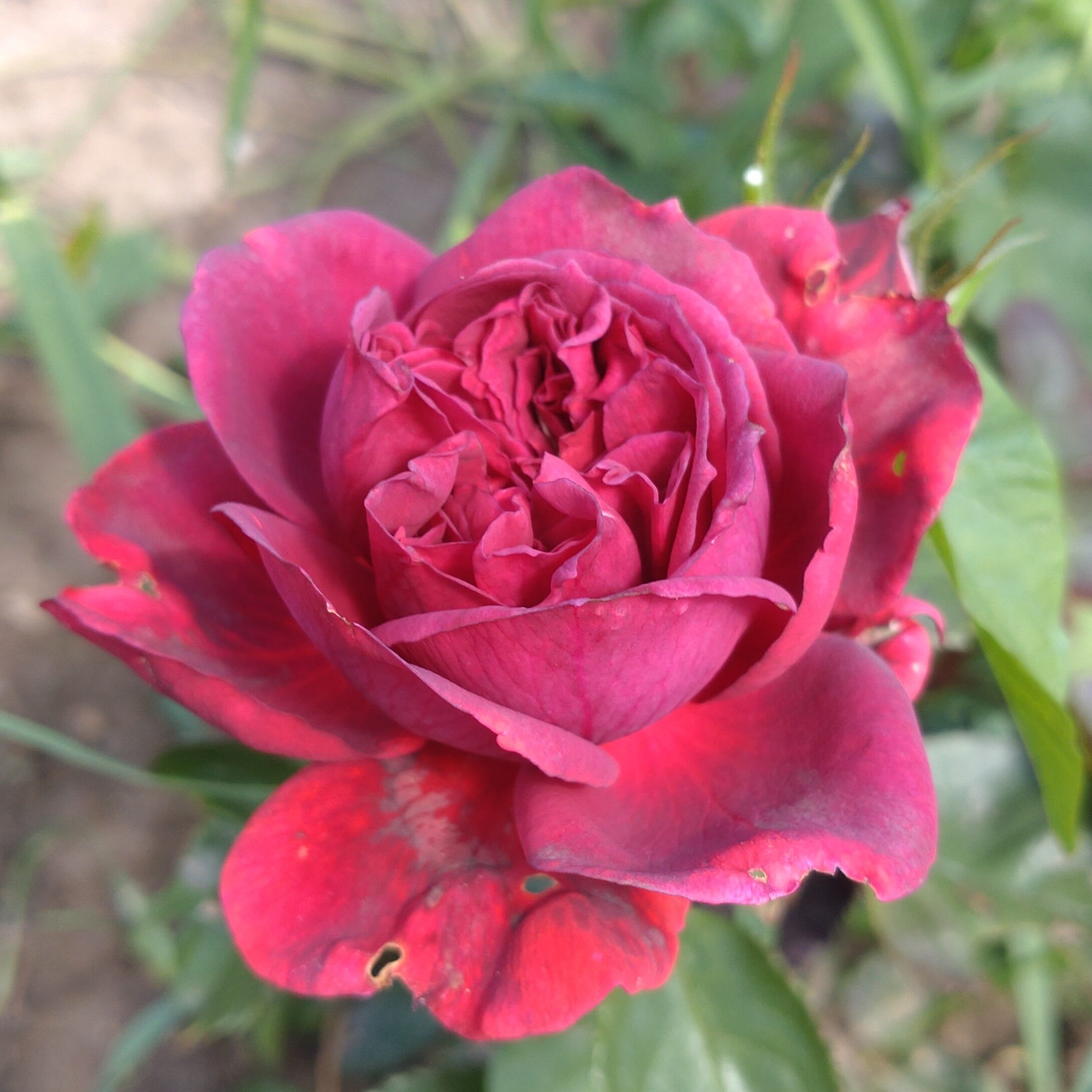 Pathétique – Bild 8