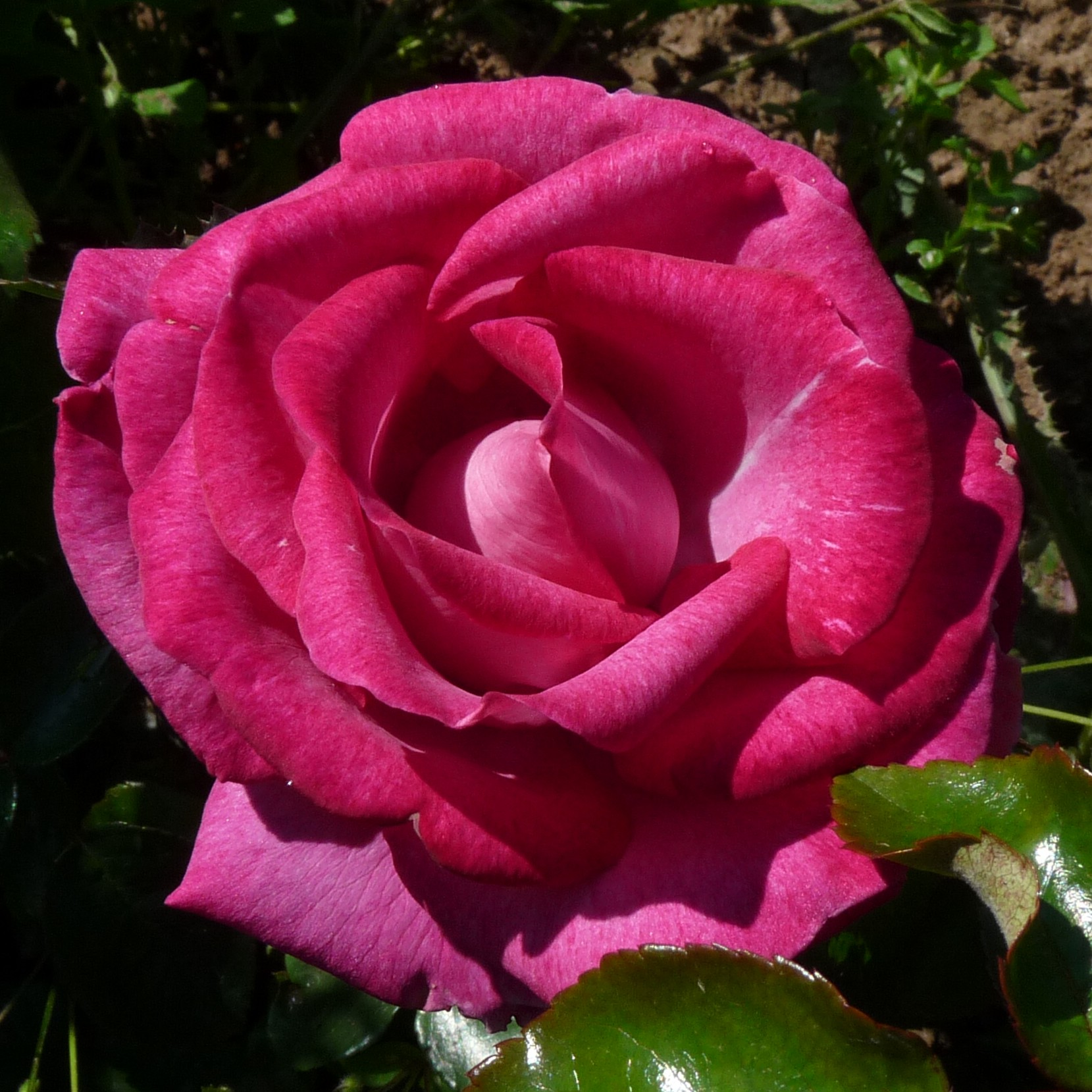 Ultraviolet – Bild 3