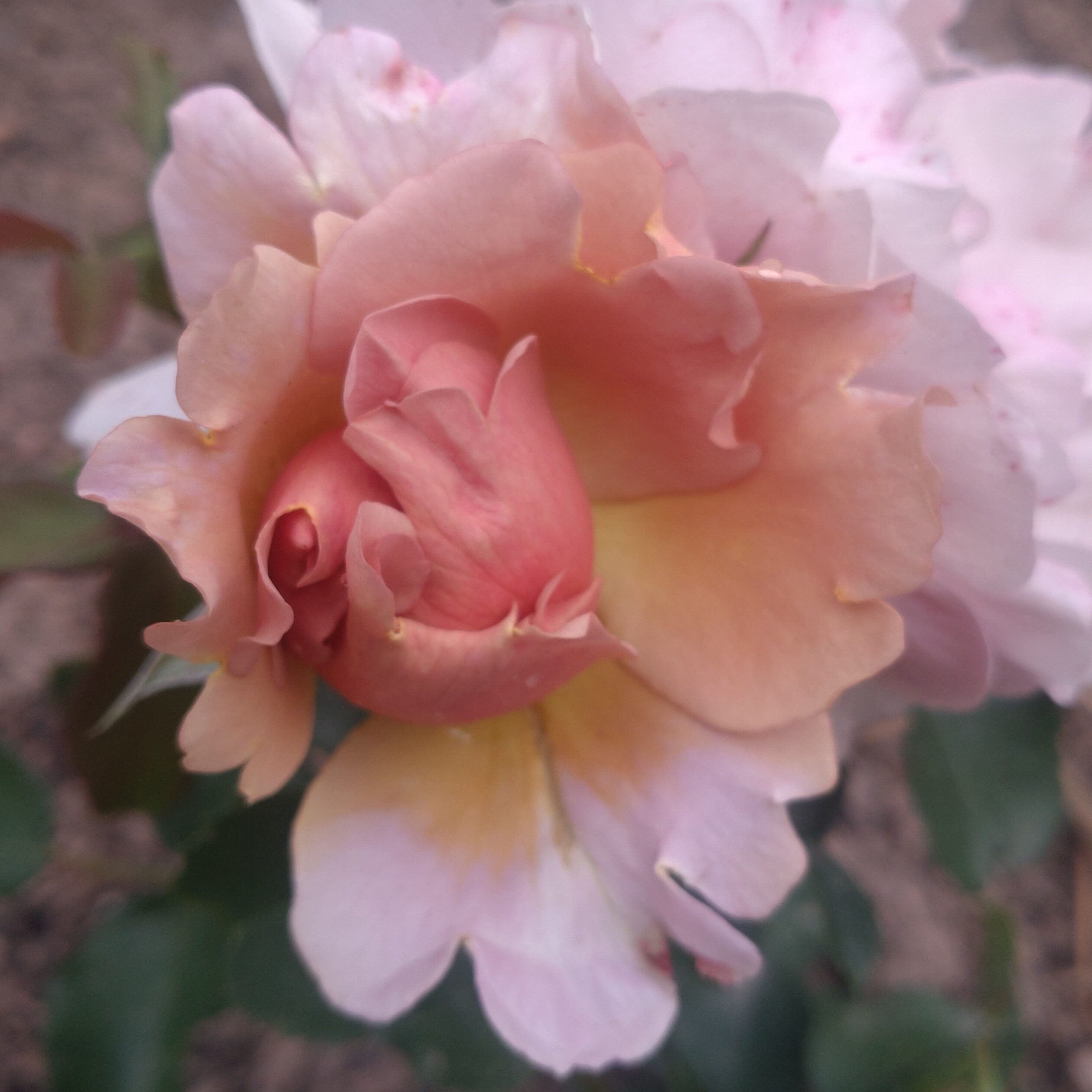 Two Times Happy – Bild 11